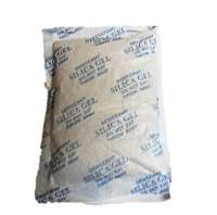 1 x Silica Gel 100 grams 14*9cm  Dessicant Moisture absorber 100grams garments shoes waredrobe storage warehouse 100g non woven Raffles