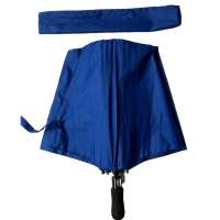 Auto Open Close Folding Umbrella Windproof 10 Ribs UV Protection Black Coating Sun Rain Dual Use Portable Travel Compact Umbrella