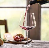 Schott Zwiesel Gin and Tonic and Red Wine Glass (6 pcs)