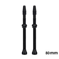 ZTTO 2pcs 40mm/60mm MTB Bicycle Tubeless Tire F/V Presta Valve For Mountain Road Bike Tubeless Rim Tire Core Aluminum Al