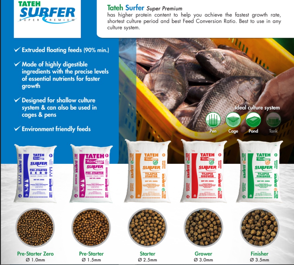 Tateh Aquafeeds Surfer Finisher Tilapia Catfish (Hito) Milkfish (Bangus