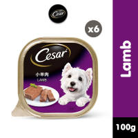 CESAR Wet Dog Food Lamb Flavor 100g (6-Pack)