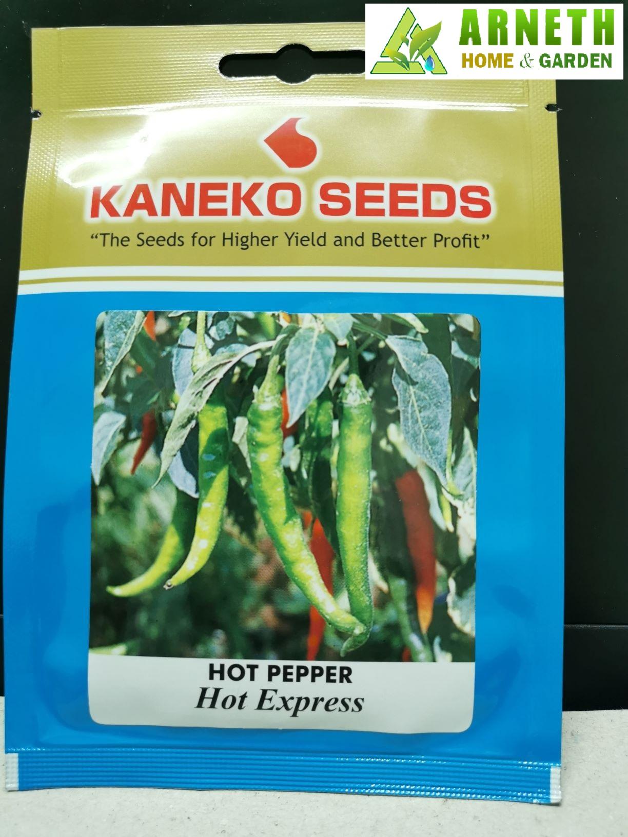 HOT PEPPER HOT EXPRESS SEEDS BY KANEKO review and price