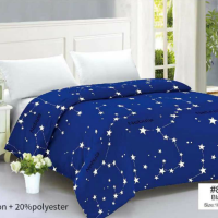【Buy 1 Take 1】2PCS Blanket Light Luxury KING SIZE Blankets Quilt Duvet for Bed Sheets Bedding Cover 180X220cm