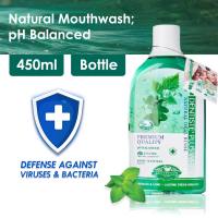 Dentiste Natural Mouth Wash (450ml)