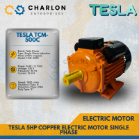 Tesla TCM-500C 5HP Copper Electric Motor Single Phase