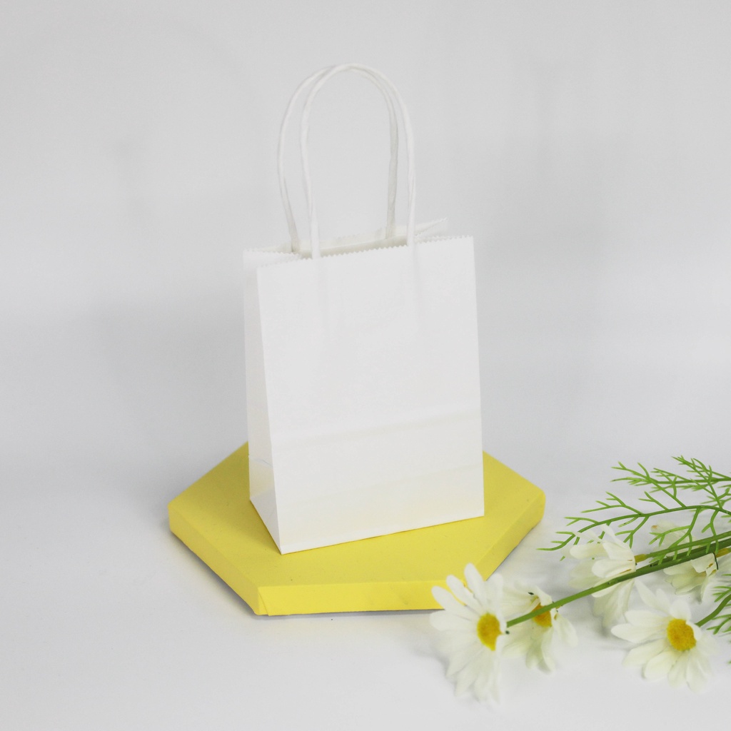 SCOOL 10PCS Paper Bag Birthday Loot Bag Gift Bag Handbag Tote Bag Packing Bag Storage Bag