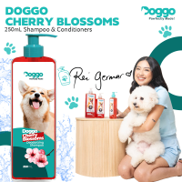 Doggo Cherry Blossoms Shampoo Scent