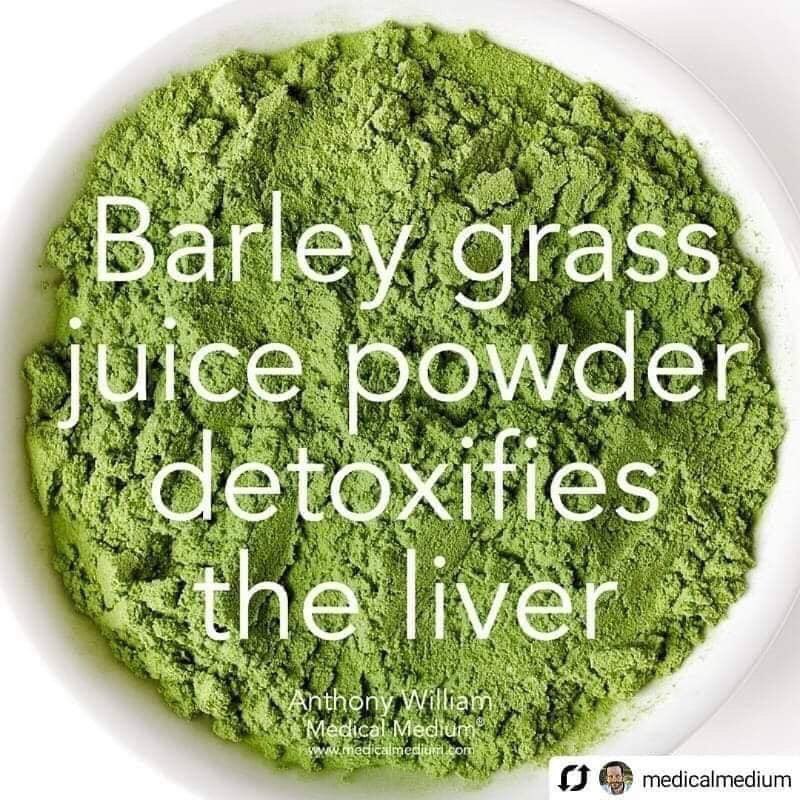 IAM Amazing Pure Organic Barley Powdered Drink Mix 3g x 10 Sachets