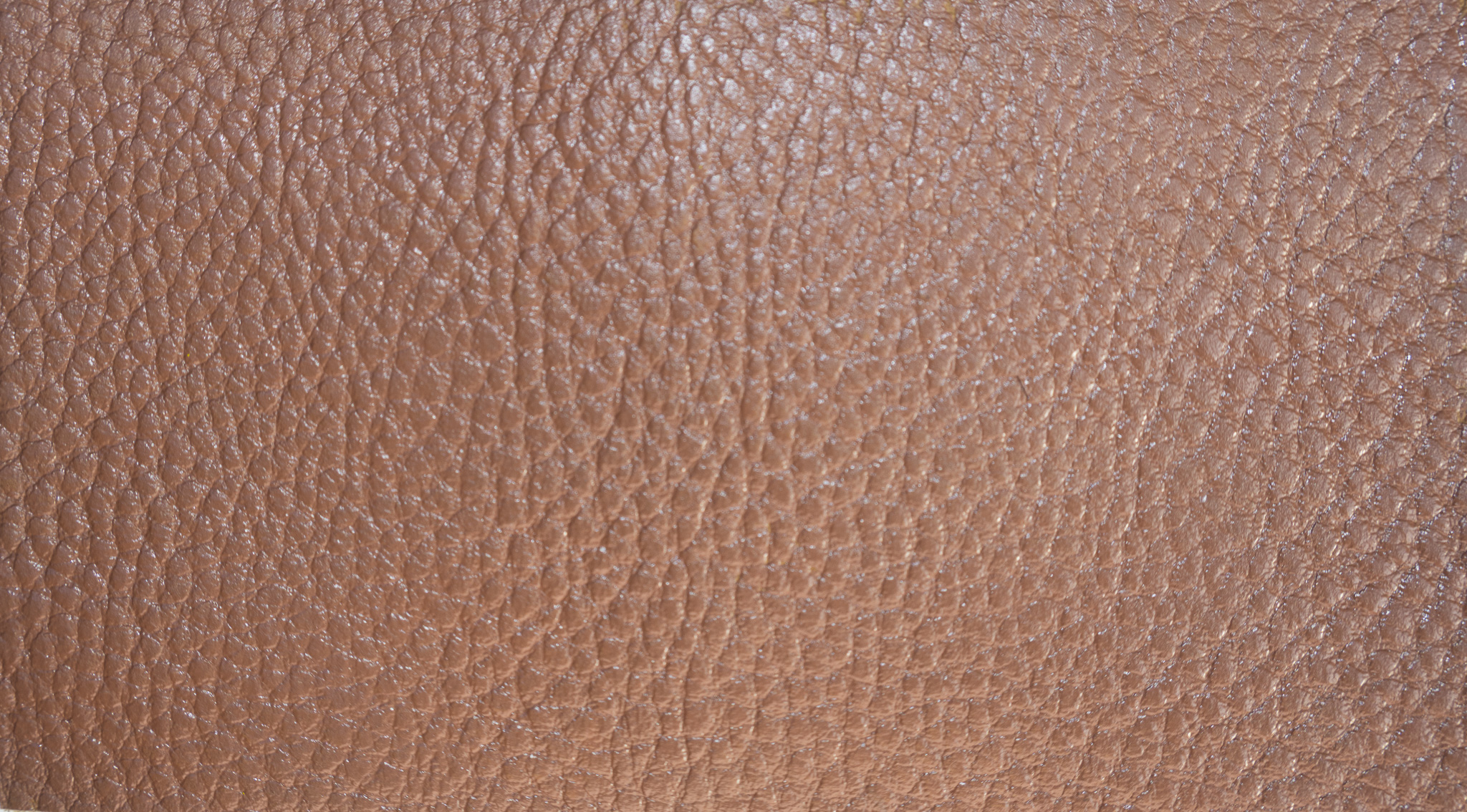 Liam Jacob Premium Glossy Camel Acrylic Leather Paint Coloring High-Durability Flexible Finish for any Leather Items