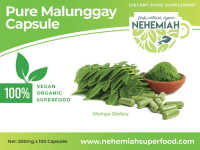 Moringa (Malunggay) 100 CAPSULES Pure Natural Organic 100’s: Rich in Nutrients Anti-Oxidants by Nehemiah Superfood Non-GMO