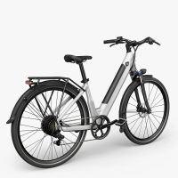 Fiido C11 step thru electric pedal assist ebike