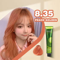 Bremod Hair Color Cream (Basic Colors) 100ml (NO OXIDANT INCLUDED) BR-R301 Milk Tea Ash 8.17