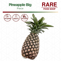 Rare Food Shop Pineapple Big Piece