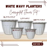 [Bagsak Presyo!] MURANG PASO Corrugated Flower Pot  10 PCS PER ORDER (White - Different Sizes Ready to Use Made of High Quality Plastic)