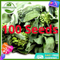 Green House® - Chinese Broccoli Seeds for Planting Vegetable Plants (100 Seed) incl. Instructions for Kale Plant