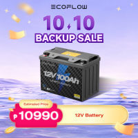 EcoFlow 12V 100Ah LiFePO4 Battery Built In 100A BMS Group 27 Lithium Battery Deep Cycles & 10 Years Lifespan