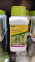 NUTRIPLANT SL