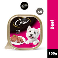 CESAR Wet Dog Food Beef Flavor 100g (6-Pack)