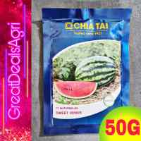 SWEET VENUS F1 (50 GRAMS) HYBRID WATERMELON SEEDS CHIA TAI