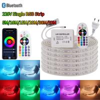 [Support Lalamove Bulk Order] Super Bright RGB Strip Light SMD 5050 Outdoor Waterproof Flexible LED Light Strip Remote Control Change Color Dimmable Smart Bluetooth App Music Sync Timed Home Ceiling Cove Decoration