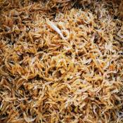 Dried Small Shrimp Pinoy Bayanihan Food - 250 grams