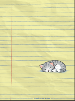 Stradmore Writing and Composition Notebook Lines Design-Quality Notebook for Grade School with plastic cover