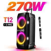 W-KING T12 270W Party Speaker Portable Outdoor Speaker With Two Mic，Built-in Lights Powerful Sound And Deep Bass