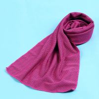 DuduMart Sport Cooling Towel Microfiber Instant Cool Ice Face Towels for Gym Quick-dry Towels