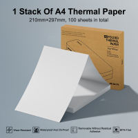 AiYin A4L Thermal Printer A4 Paper Roll Folder Paper 210MM White Paper For Document Printing