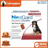Nexgard Anti Tick and Flea External Parasite Protection Chewable for Dogs