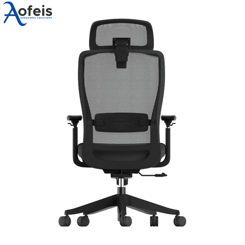 Aofeis Ergo PrimaChair MU Office Computer Chair Ergonomic Design MultiAdjustments review and price