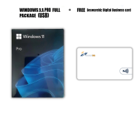 Windows 11 Pro (64 bit USB) LIFETIME