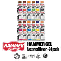 Hammer Nutrition Energy Gel 12-Pack – All 12 Flavors One of Each | Natural Energy No Sugar Crash Easy to Digest | 33g Single Serving Sachets for Endurance & Multi-Sport Athletes