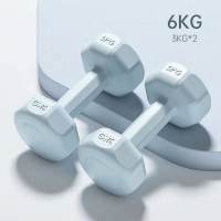 THE SWEAT CLUB 1KG 2KG 3KG Pair 2 Pcs Pastel Matte PVC Dumbbell Gym Dumbell Exercise Weights Fitness Dumbbells Muscle Fitness Equipment Dumbbell Set Beginners Strength Training Sports Home Workout Set