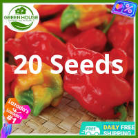 Green House® - Carolina Reaper/Siling Demonyo Seeds for Planting Vegetables (20 Seed) incl. Instruction like Naga Viper