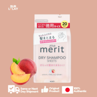 Merit Dry Shampoo Scalp Sheet Refreshing Scent and Soap Beach Scent perfect after Hike Sport Long Hospital Stays etc.