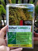 DuPont LANNATE 40SP INSECTICIDE (METHOMYL) BROAD SPECTRUM CARBAMATE INSECTICIDE 25 Grams