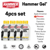 Hammer Nutrition Energy Gel 4-Pack – Natural Energy No Sugar Crash Easy to Digest | 33g Single Serving Sachets Assorted Flavors for Endurance & Multi-Sport Athletes