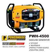 Powerhouse PWH-4500 Portable Gasoline Generator