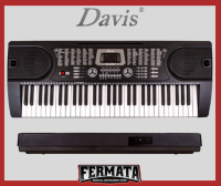Davis D-619 61-Keys Digital Electronic Keyboard Piano Organ with stand