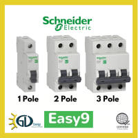 1P 2P 3P Schneider Easy9 10A 16A 20A 25A 32A 40A 50A 63A DIN-Rail Miniature Circuit Breaker 6kAIC
