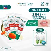Himalaya Dry Lip Care Lip Balm 10g | Herbal Treatment for Chapped Lips | Paraben-Free