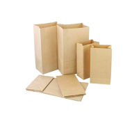 Shopping Paper Brown Bag 50 Pieces