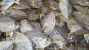 Dried Slipmouth Fish Pinoy Bayanihan Food - 250 grams