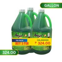 ANGEL CLEAN DISHWASHING LIQUID 3IN1 (GALLON)- CALAMANSI