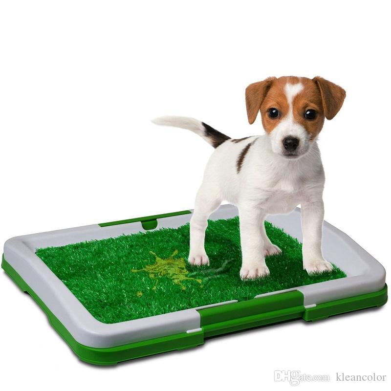 dog potty pad