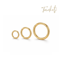 Trinkets Titanium Hoop Earrings - 6mm 10mm 12mm (sold per piece)