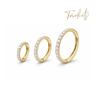 Trinkets Titanium Hoop Earrings - 6mm 10mm 12mm (sold per piece)