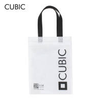 Cubic 1 pc Nonwoven Eco Bag w/ Handle Expandable & Reusable 13x10x3 (ECOBAG ONLY NO ITEM) - CSI2101